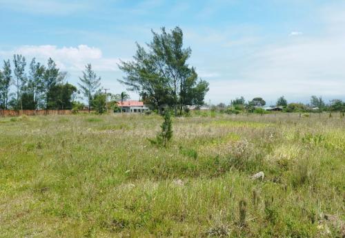 Oportunidade em Capão da Canoa – Terreno de Esquina a 200m do Mar!